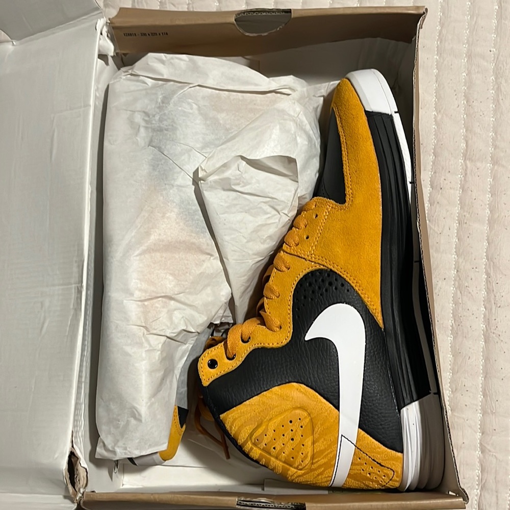 Nike SB